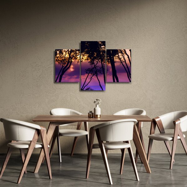 Obraz - Stromy pri západe slnka (90x60 cm)