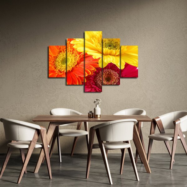 Obraz - Kvety Gerbery (150x105 cm)