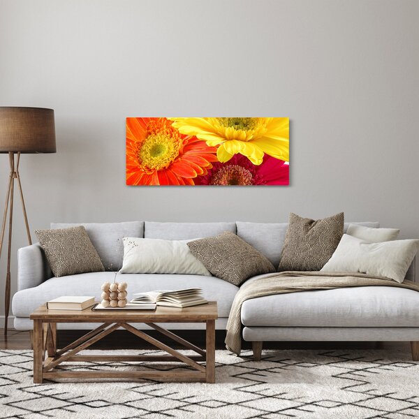 Obraz - Kvety Gerbery (120x50 cm)