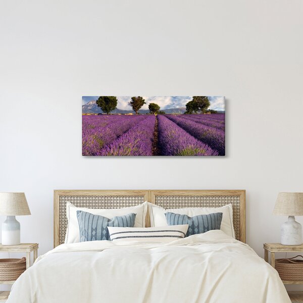 Obraz - Levanduľové pole a hory (120x50 cm)