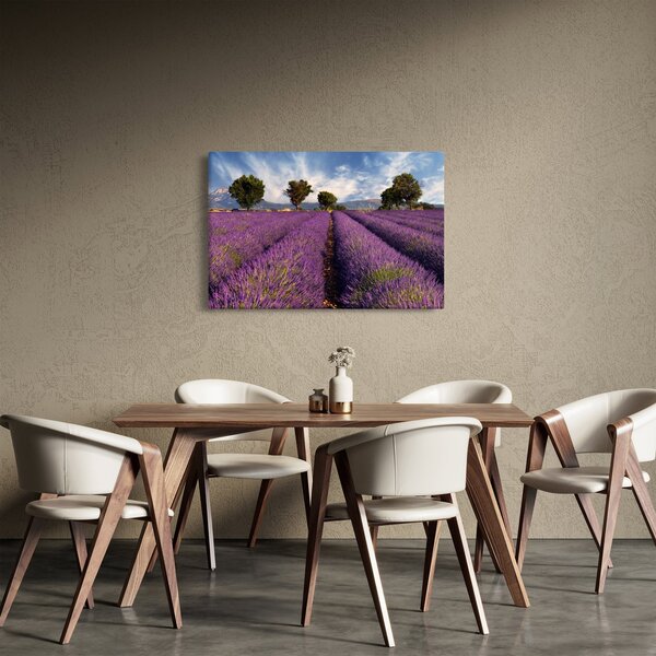 Obraz - Levanduľové pole a hory (90x60 cm)