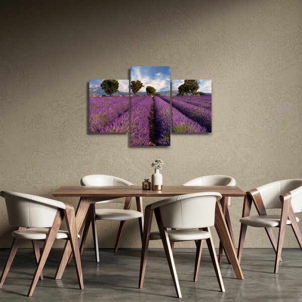 Obraz - Levanduľové pole a hory (90x60 cm)