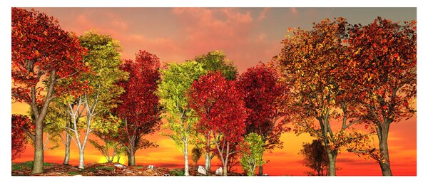 Obraz - Farebné stromy (120x50 cm)