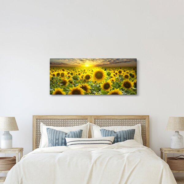 Obraz - Slnečnica pri západe slnka (120x50 cm)