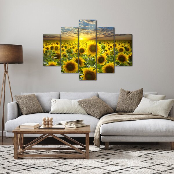 Obraz - Slnečnica pri západe slnka (150x105 cm)