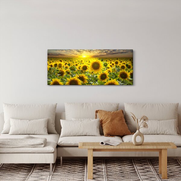 Obraz - Slnečnica pri západe slnka (120x50 cm)