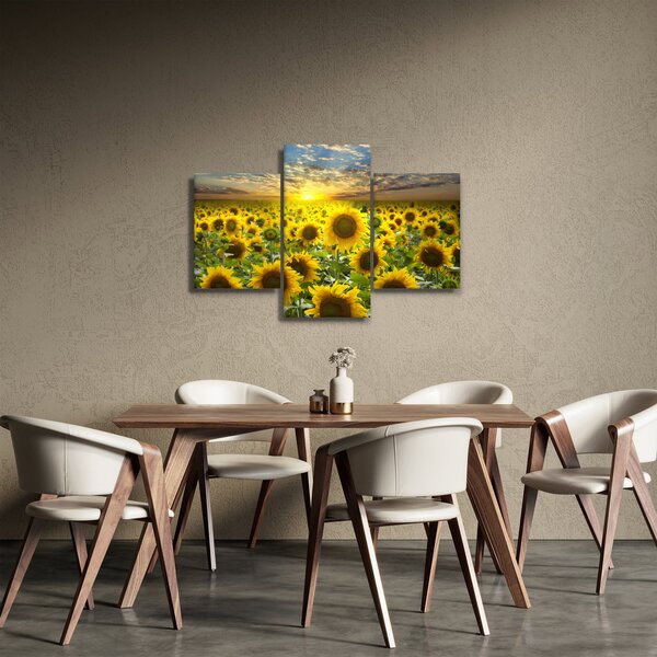 Obraz - Slnečnica pri západe slnka (90x60 cm)