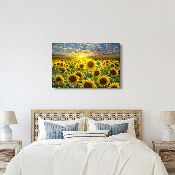Obraz - Slnečnica pri západe slnka (90x60 cm)