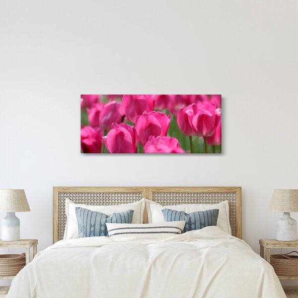 Obraz - Ružové tulipány (120x50 cm)