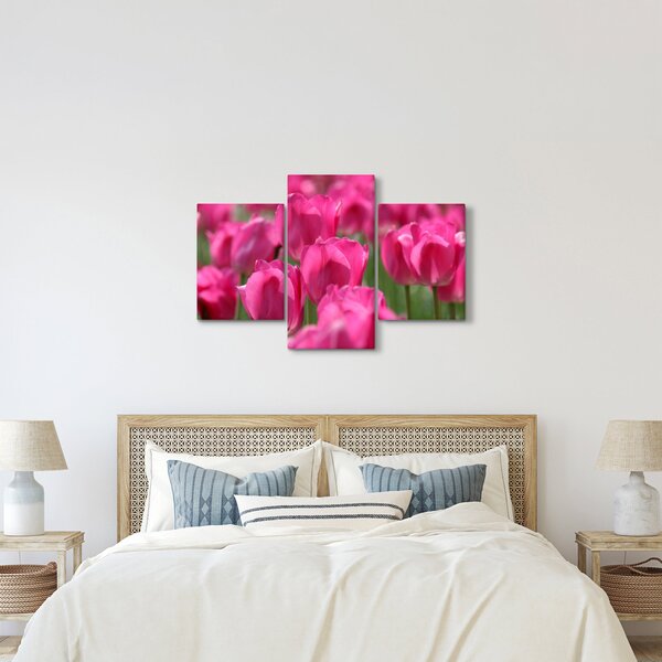 Obraz - Ružové tulipány (90x60 cm)