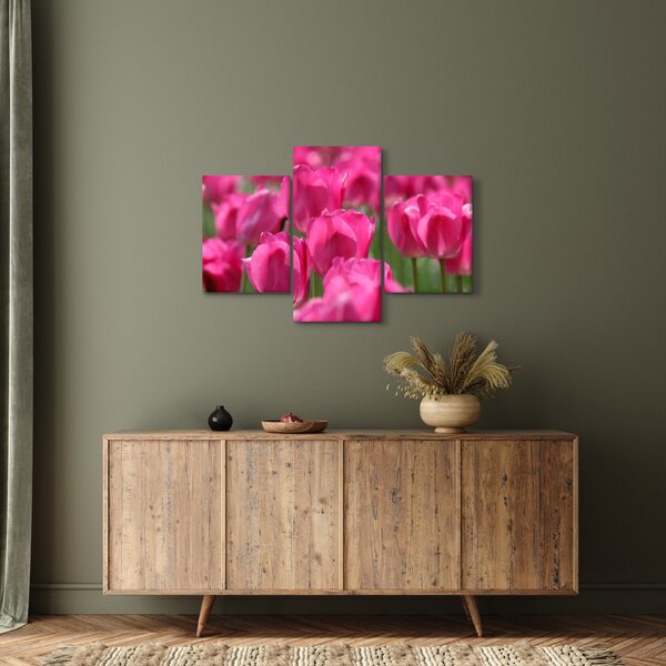 Obraz - Ružové tulipány (90x60 cm)