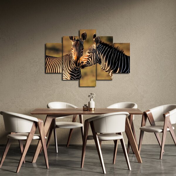 Obraz - Dve zebry (150x105 cm)