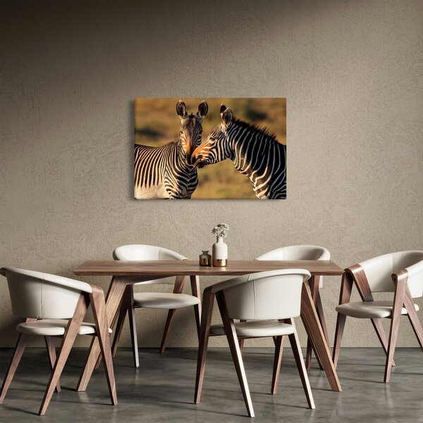 Obraz - Dve zebry (90x60 cm)