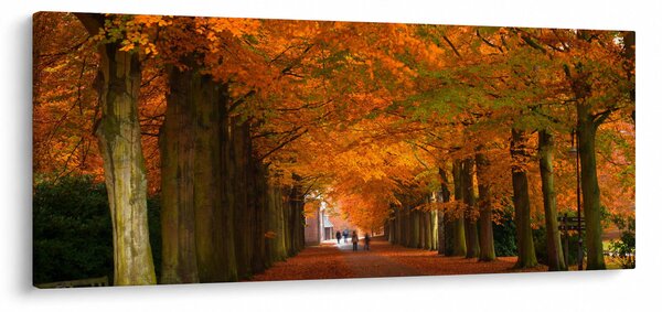 Obraz - Jeseň Alej stromov (120x50 cm)