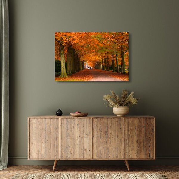 Obraz - Jeseň Alej stromov (90x60 cm)