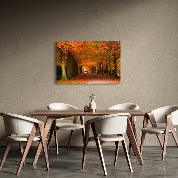 Obraz - Jeseň Alej stromov (90x60 cm)