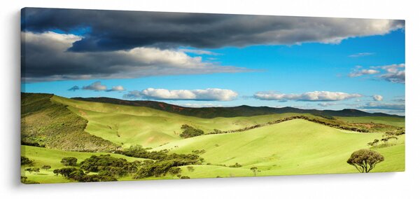 Obraz - Zelená krajina s pahorkami (120x50 cm)