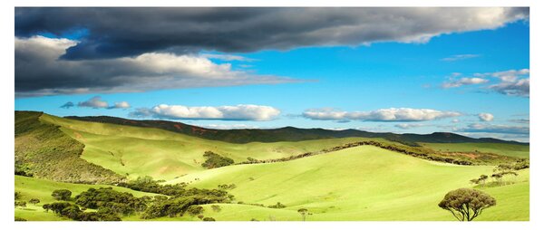 Obraz - Zelená krajina s pahorkami (120x50 cm)