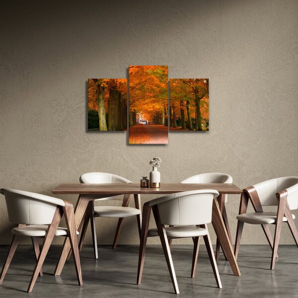 Obraz - Jeseň Alej stromov (90x60 cm)