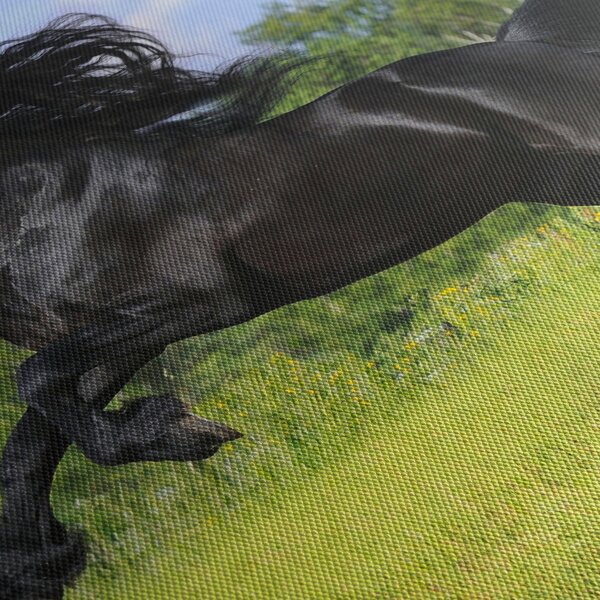 Obraz - Kôň s vzdušnou hrivou (150x105 cm)