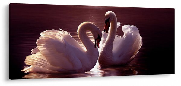 Obraz - Labute na jazere (120x50 cm)
