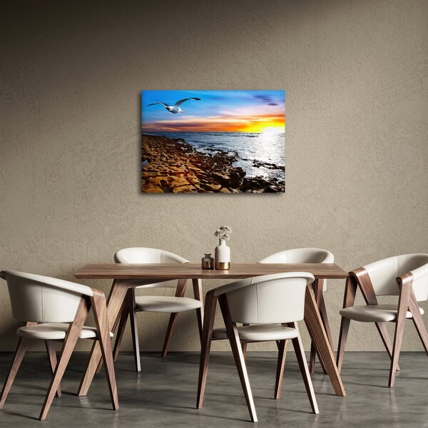 Obraz - Čajka letiaca nad pobrežím (70x50 cm)