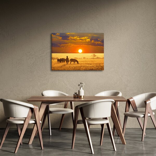 Obraz - Zebry so západom slnka (70x50 cm)