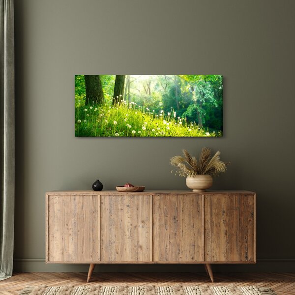 Obraz - Magická lúka plná púpav (120x50 cm)