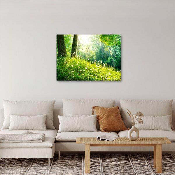 Obraz - Magická lúka plná púpav (70x50 cm)