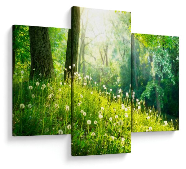 Obraz - Magická lúka plná púpav (90x60 cm)