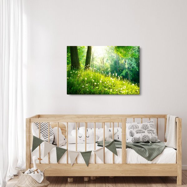 Obraz - Magická lúka plná púpav (90x60 cm)