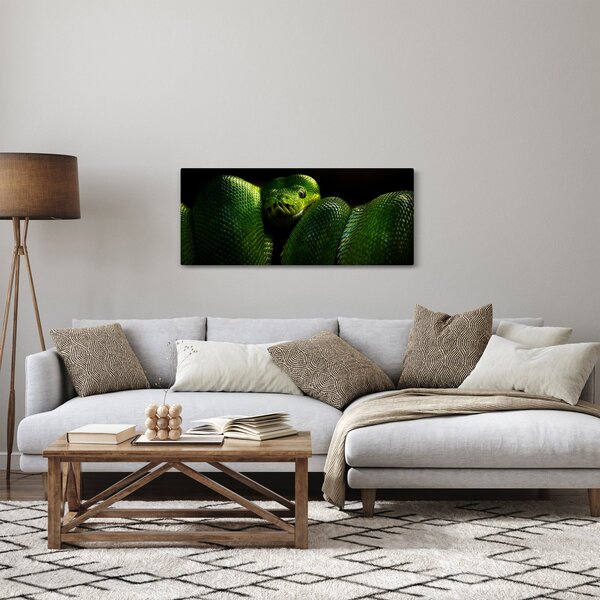 Obraz - Zelený had (120x50 cm)