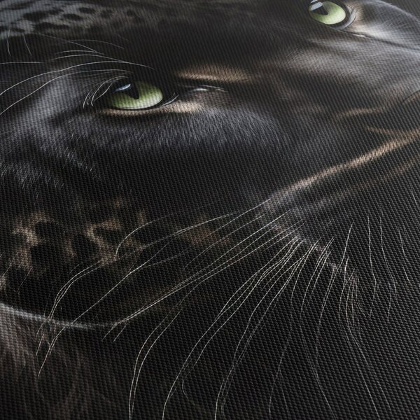 Obraz - Čierny panter (90x60 cm)