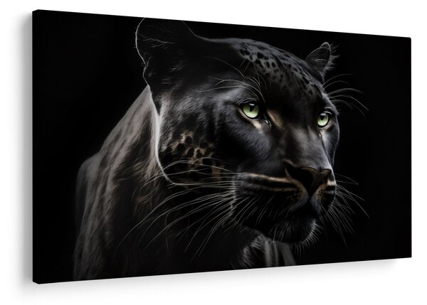 Obraz - Čierny panter (90x60 cm)