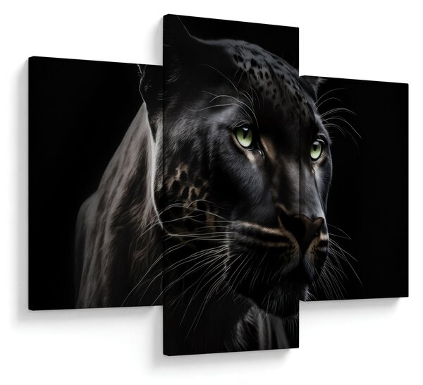 Obraz - Čierny panter (90x60 cm)