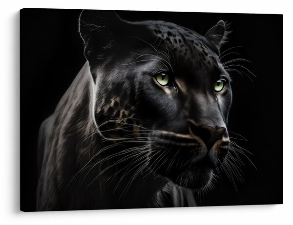 Obraz - Čierny panter (70x50 cm)