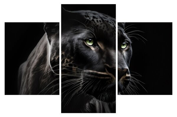 Obraz - Čierny panter (90x60 cm)