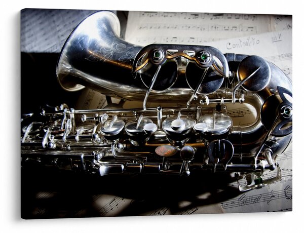 Obraz - Saxofón (70x50 cm)