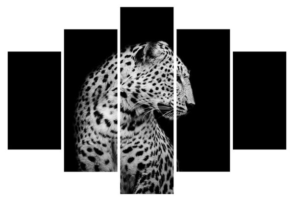 Obraz - Leopard (150x105 cm)