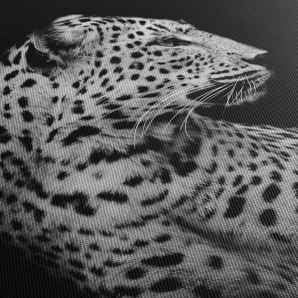 Obraz - Leopard (90x60 cm)