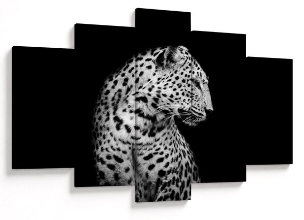 Obraz - Leopard (150x105 cm)
