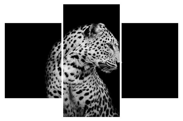 Obraz - Leopard (90x60 cm)