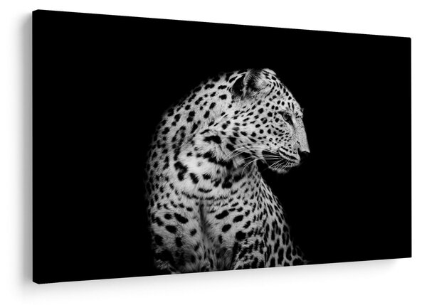 Obraz - Leopard (90x60 cm)