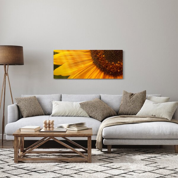 Obraz - Slnečnica (120x50 cm)