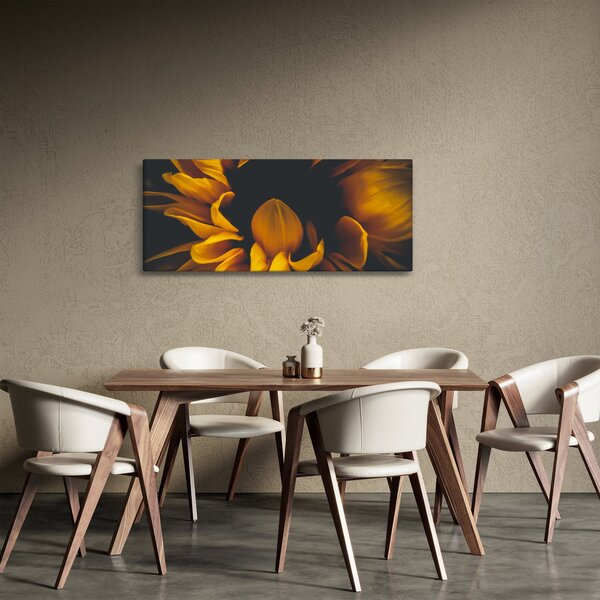 Obraz - Slnečnica v čiernom pozadí (120x50 cm)