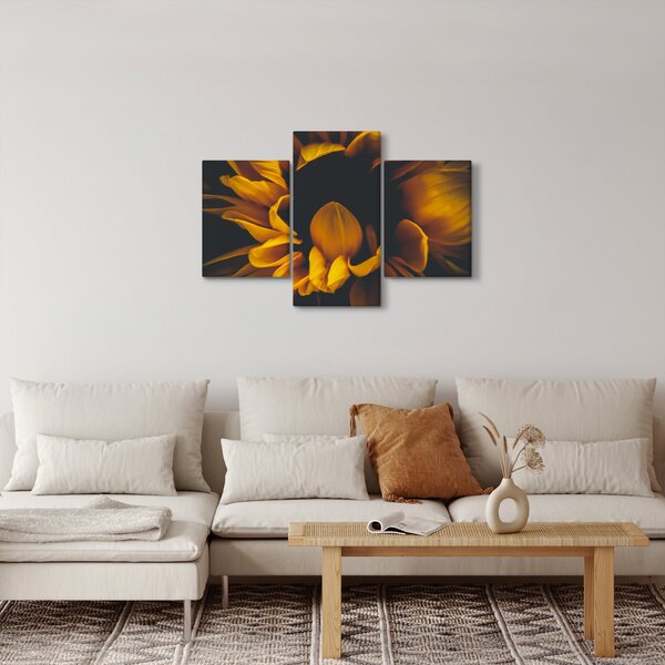 Obraz - Slnečnica v čiernom pozadí (90x60 cm)