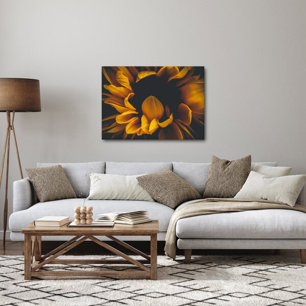 Obraz - Slnečnica v čiernom pozadí (70x50 cm)