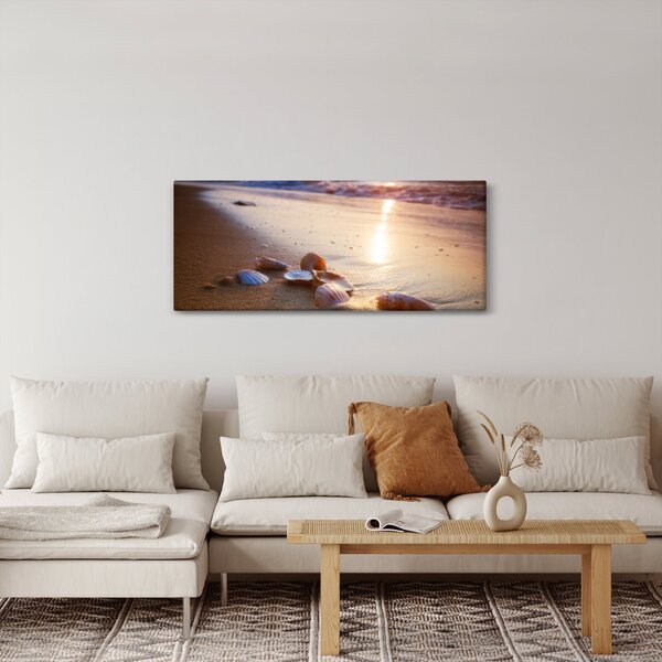 Obraz - Mušle (120x50 cm)