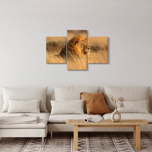 Obraz - Národný park Etosha (90x60 cm)