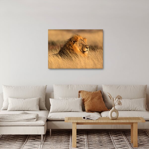 Obraz - Národný park Etosha (70x50 cm)